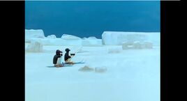 Hospital and Skiing (2)