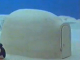 Pingu's Igloo