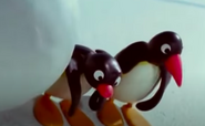 Pingu Snowball