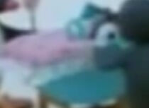 Pengy's Little Sister