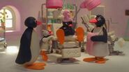 Pampering Pingu