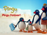 Pingu Forever! (DVD)
