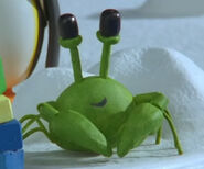 Green Crab