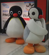 Pingu and Pinga at "Pingu the Art World".