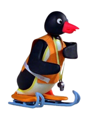 The Instructor