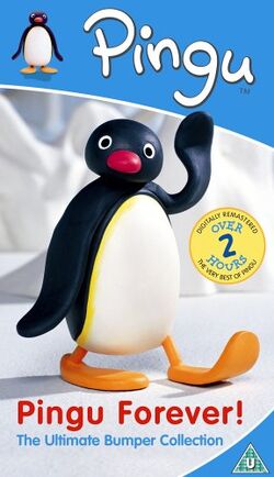 Pingu Forever! (DVD) | Pingu Wiki | Fandom