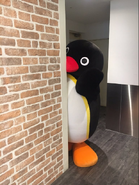 Pingu at the Village Vanguard Cafe in Japan