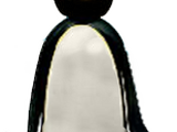 Pingu's Father