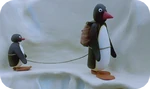 Pingu The Mountaineer