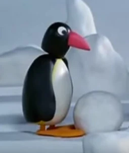 Pingo.jpg