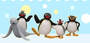 PinguGroupPITC