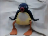 Pingu in Pingu's Dream.