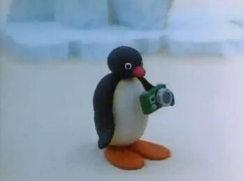 PinguthePhotographer