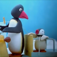 Pingu Gets A Bicycle Pingu Wiki Fandom Pingu memes gaming room setup kawaii room cute room decor retro aesthetic retro toys looks cool ipad penguins. pingu gets a bicycle pingu wiki fandom