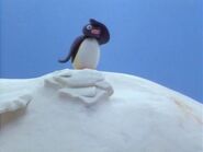 Pingu in the Otmar Series.