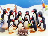 Pingu and Pinga's Family