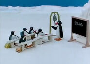 Pingu arrives at school