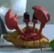 Hermit Crab