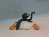 Pingu Looks After the Egg