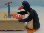 Hello,Pingu21