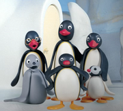 Pingu Main characters