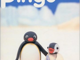 Pingu Bible