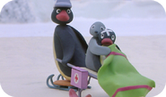 Robby taking care of Pingu.