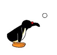 My Friend Pingu Pingu Wiki Fandom My Friend Pingu Pingu Wiki Fandom