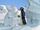 Pingu's Ice Sculpture