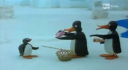 Pingu in Pingu and the Strangers.