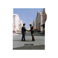 wish you were here album wiki