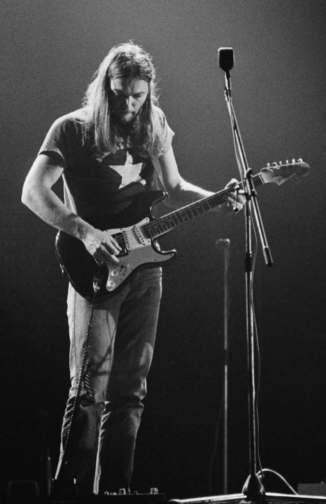 David Gilmour | Pink Floyd | Fandom