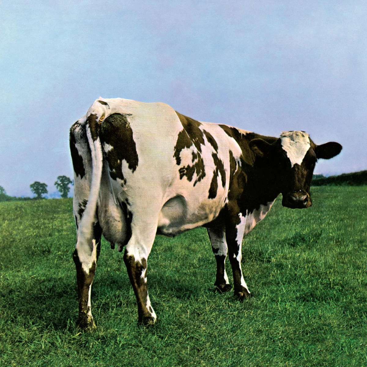 Atom Heart Mother | Pink Floyd | Fandom Atom Heart Mother | Pink Floyd | Fandom