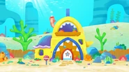 Shark House