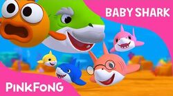 Baby Shark Song Pinkfong Wiki Fandom