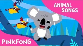 Koala Lalala Pinkfong Wiki Fandom
