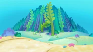 Kelp Woods