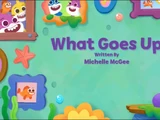 What Goes Up