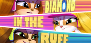 Webisode - Diamond in the Ruff