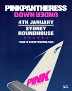 PinkPantheressDownUnderposter4.jpg (792 KB)