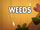 Weeds