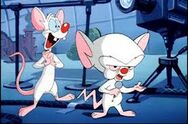 Pinky y reunion