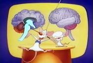 El cerebro!