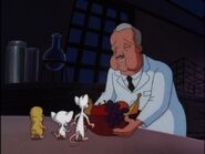 Wash Harder.jpg (42 KB)