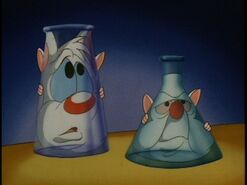 Lab mice