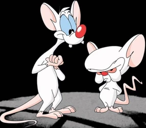 Brain: are you pondering what im ponderin? pinky: i think so. but what is a magican? a hat pinky.