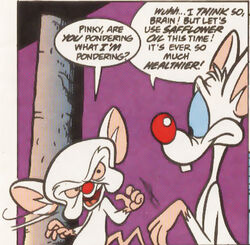 Pinky and the Brain: Origins