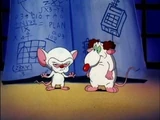 Pinky & The Brain... and Larry