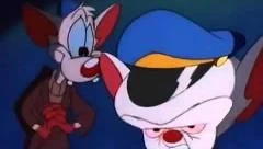Pinky and Captain Brain