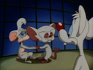 Billie with Brain.png (198 KB)